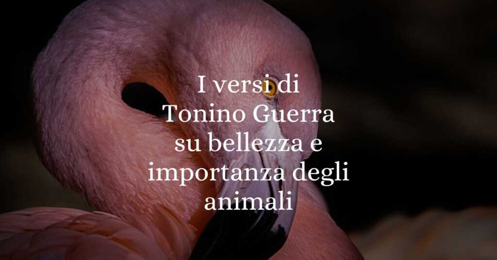 I versi di Tonino Guerra su bellezza e importanza degli animali