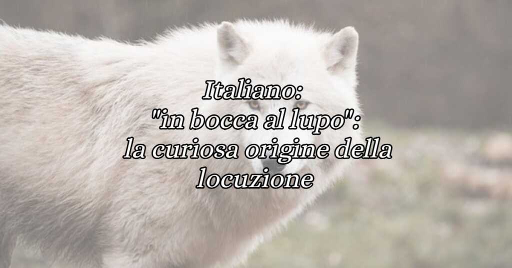 Italiano in bocca al lupo la curiosa origine della locuzione