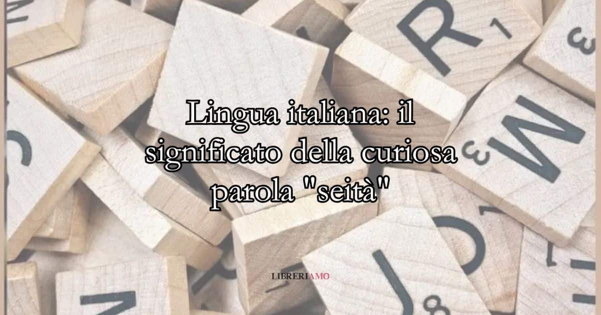 Lingua italiana il significato della curiosa parola seità