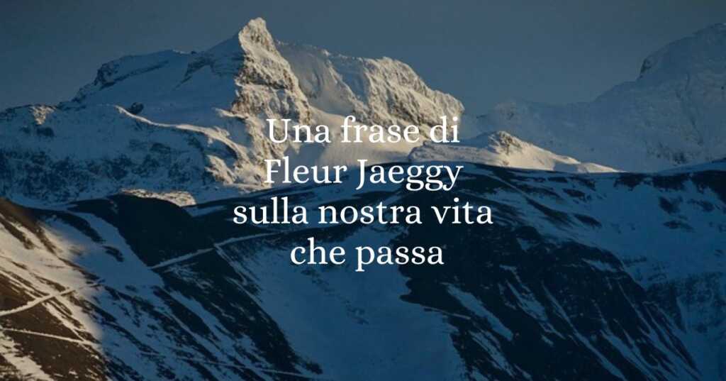 Una frase di Fleur Jaeggy sulla nostra vita che passa