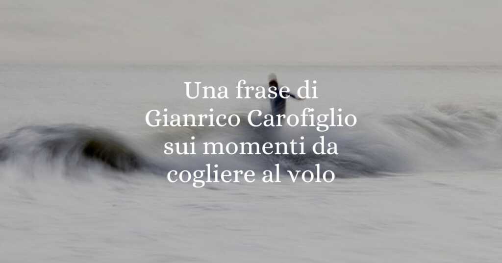Una frase di Gianrico Carofiglio sui momenti da cogliere al volo