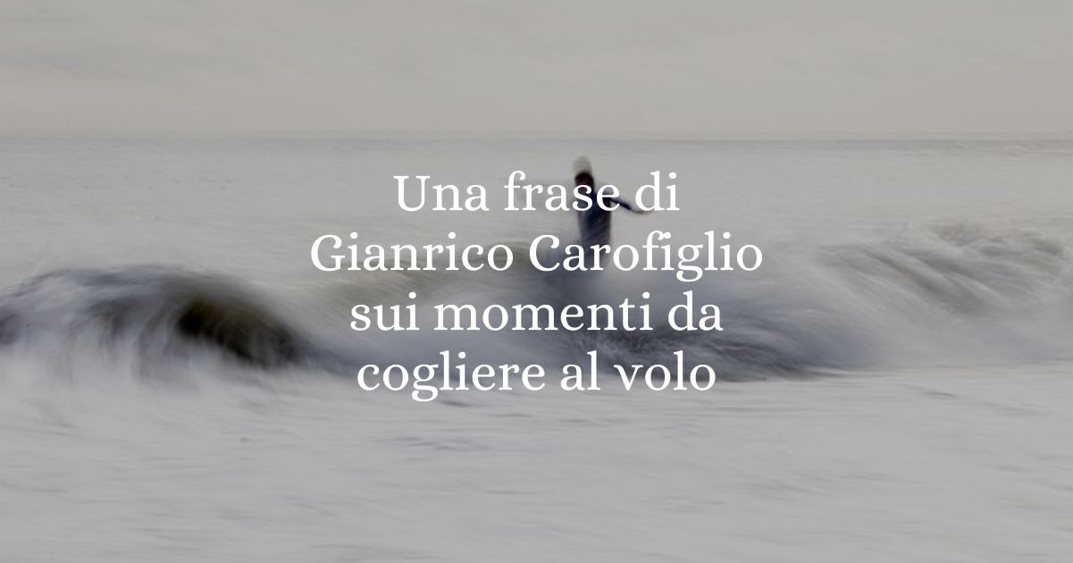Una frase di Gianrico Carofiglio sui momenti da cogliere al volo