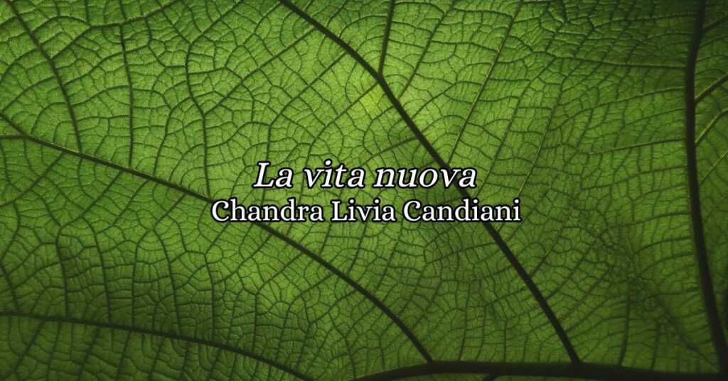 “La vita nuova” (2014) di Chandra Livia Candiani, un potente invito a cambiare prospettiva
