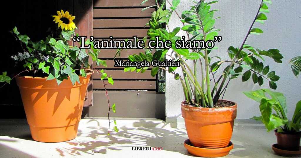 l'animale che siamo