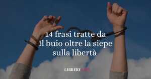 14 frasi tratte dal buio oltre la siepe sulla libertà