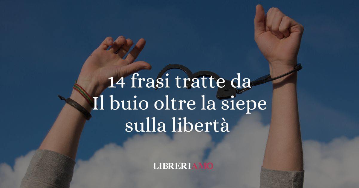 14 frasi tratte dal buio oltre la siepe sulla libertà