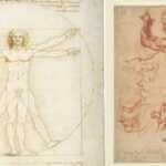 Corpi moderni opere imperdibili di Leonardo e Michelangelo in mostra a Venezia