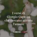 I versi di Giorgio Caproni che cercano ancora l'amore