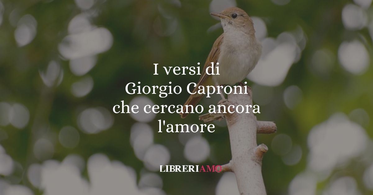 I versi di Giorgio Caproni che cercano ancora l'amore