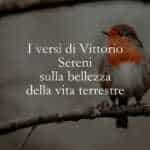 I versi di Vittorio Sereni sulla bellezza della vita terrestre