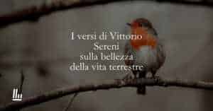 I versi di Vittorio Sereni sulla bellezza della vita terrestre