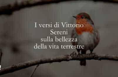 I versi di Vittorio Sereni sulla bellezza della vita terrestre