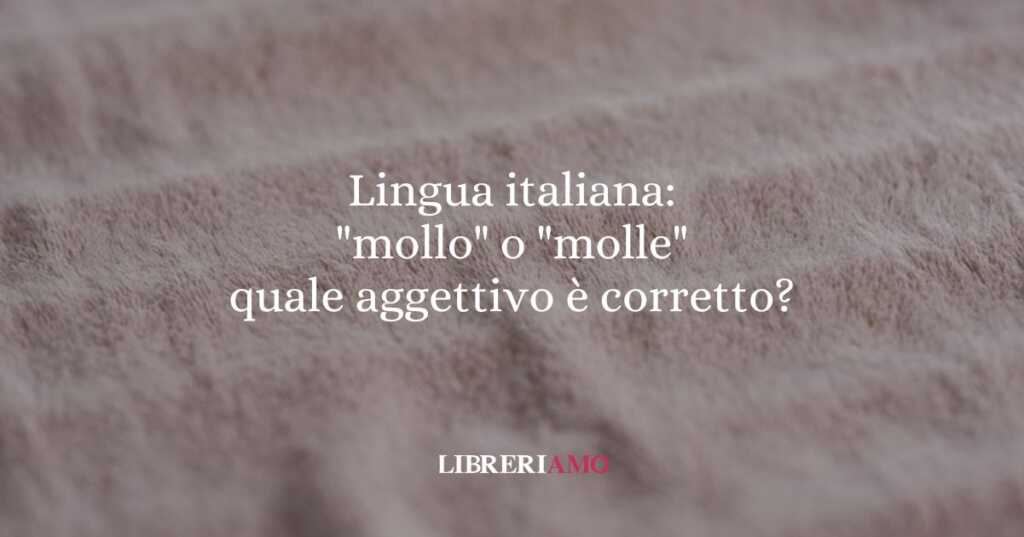 Lingua italiana mollo o molle quale aggettivo è corretto