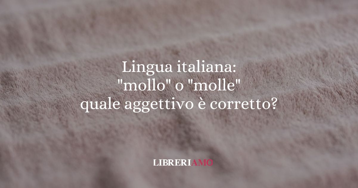 Lingua italiana mollo o molle quale aggettivo è corretto