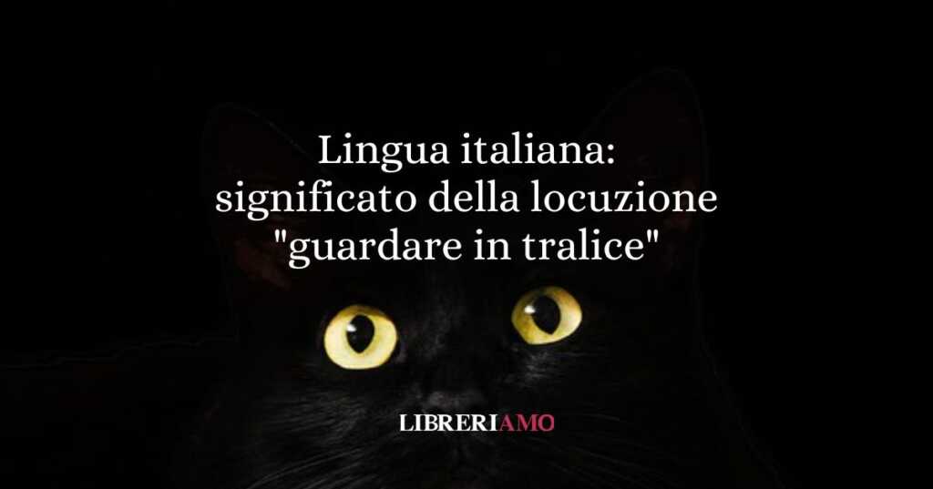 Lingua italiana significato della locuzione guardare in tralice