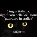 Lingua italiana significato della locuzione guardare in tralice