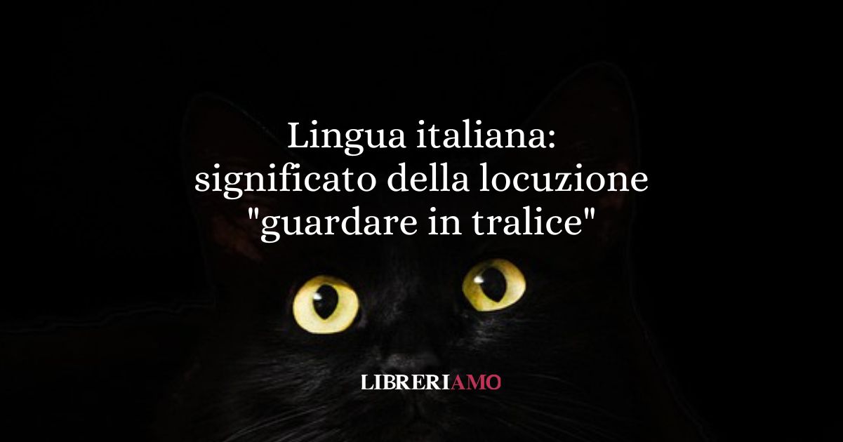 Lingua italiana significato della locuzione guardare in tralice
