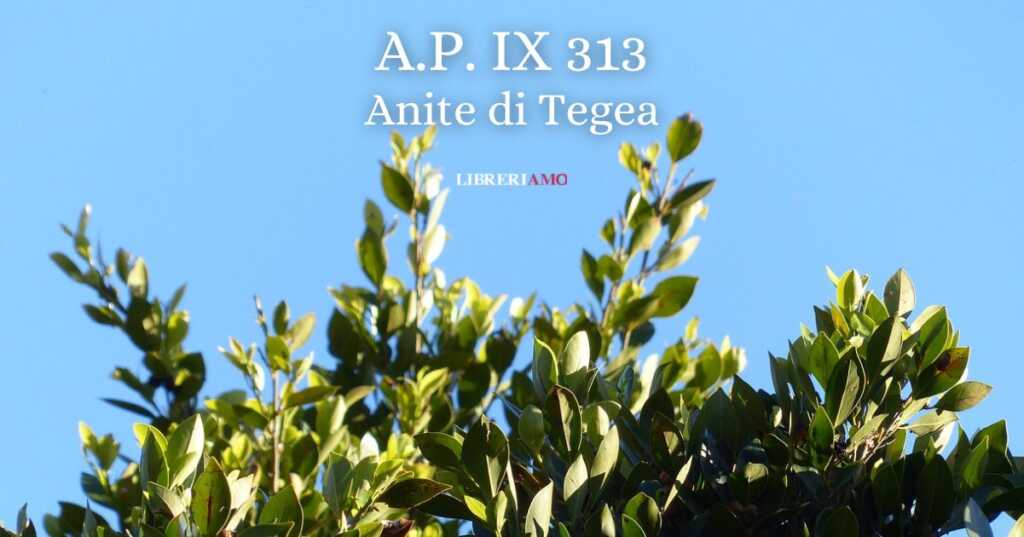 A.P. IX 313 di Anite di Tegea, l’antico epigramma greco che racconta l’estate