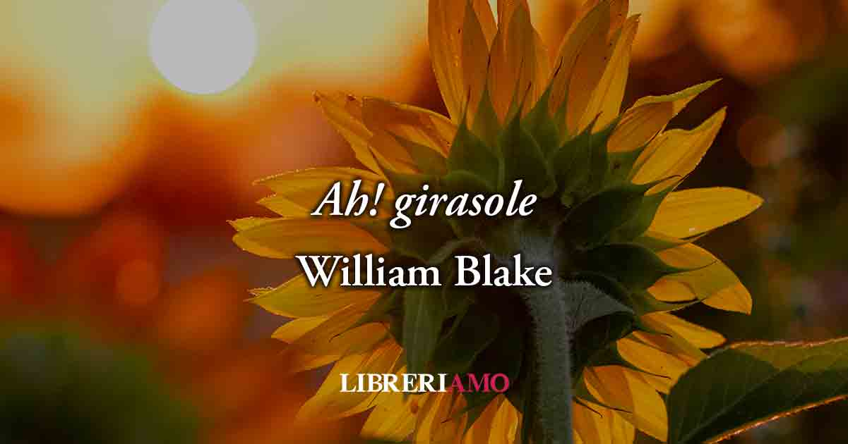 Ah girasole (1794) di William Blake, poesia sul valore e l'amore per la vita