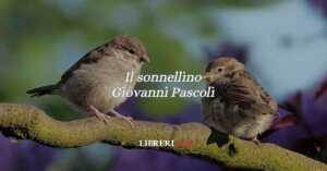 “Il sonnellino” (1903), la poesia di Giovanni Pascoli sulla precarietà della vita 4 “Il sonnellino” (1903) di Giovanni Pascoli, un sogno fragile