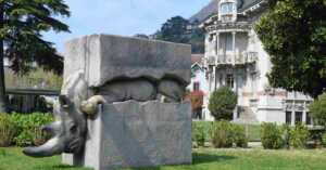 Il viaggio del rinoceronte, perché visitare l'originale mostra diffusa a Cernobbio