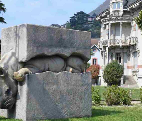 Il viaggio del rinoceronte, perché visitare l'originale mostra diffusa a Cernobbio