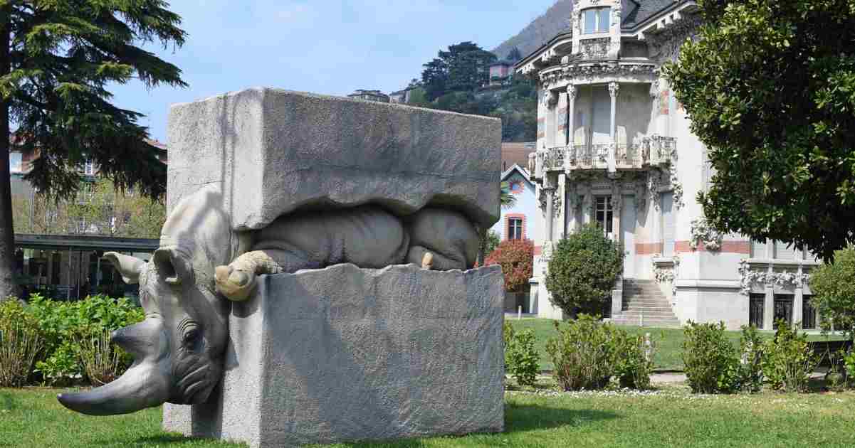 Il viaggio del rinoceronte, perché visitare l'originale mostra diffusa a Cernobbio