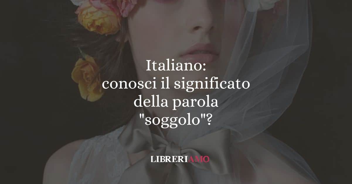 Italiano conosci il significato della parola soggolo