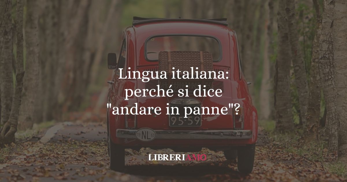 Lingua italiana perché si dice andare in panne