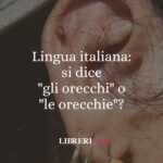 Lingua italiana: si dice "gli orecchi" o "le orecchie"? 50 Lingua italiana si dice gli orecchi o le orecchie