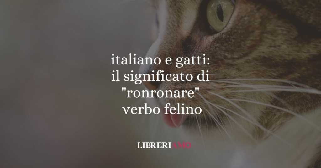 italiano e gatti il significato di ronronare, verbo felino