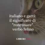 italiano e gatti il significato di ronronare, verbo felino