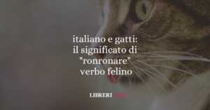 italiano e gatti: il significato di "ronronare", verbo felino 3 italiano e gatti il significato di ronronare, verbo felino