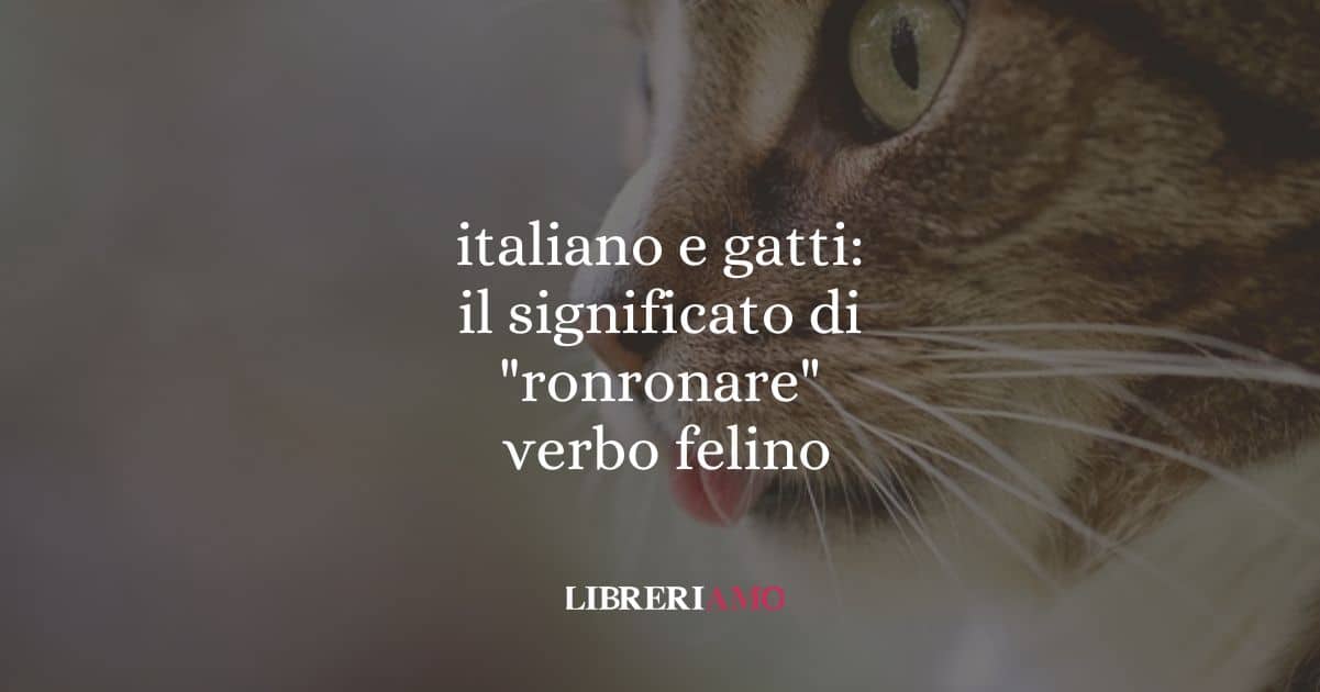 italiano e gatti il significato di ronronare, verbo felino