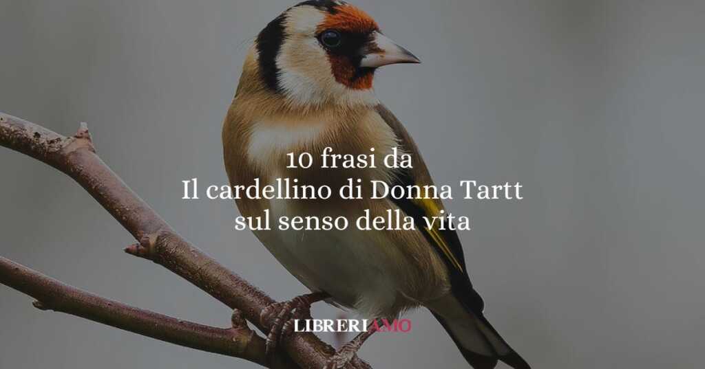 10 frasi da Il cardellino di Donna Tartt che ci insegnano a resistere e a trovare senso nella vita