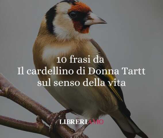 10 frasi da Il cardellino di Donna Tartt che ci insegnano a resistere e a trovare senso nella vita