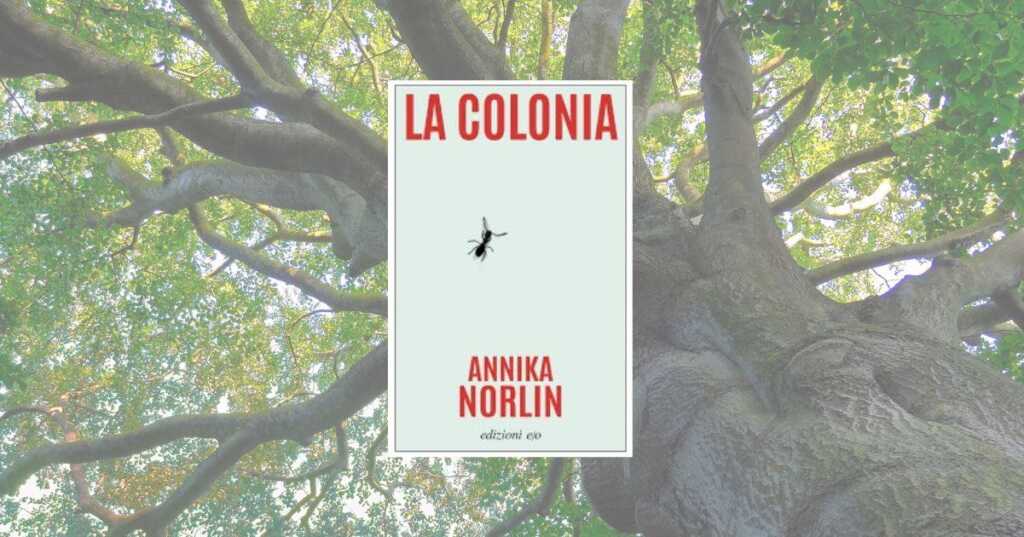 "La colonia" di Annika Norlin: un’inquietante comuni­tà tra i boschi per ridurre lo stress