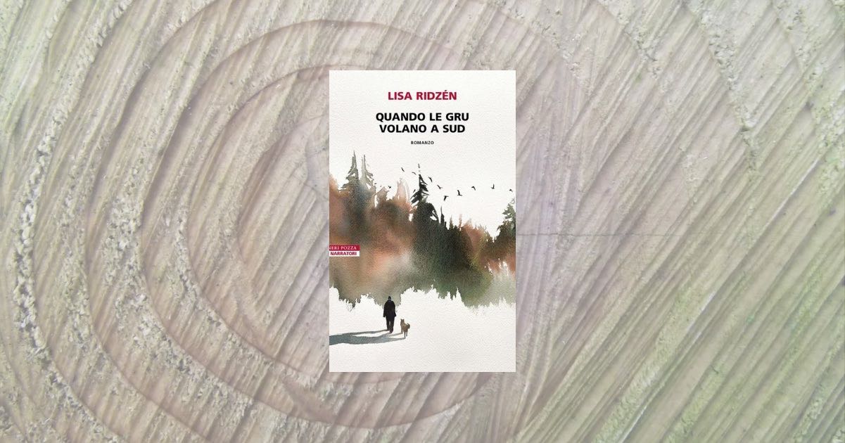 Finalmente in Italia il romanzo che tutti consigliano e che resterà per sempre nel cuore 6 Finalmente in Italia il romanzo che tutti consigliano e che resterà per sempre nel cuore