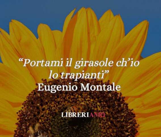 “Portami il girasole” di Eugenio Montale: la poesia potente che illumina il male di vivere 1 “Portami il girasole” di Eugenio Montale: la poesia potente che illumina il male di vivere