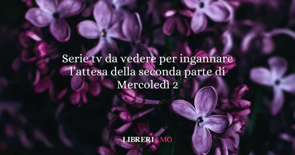 Serie tv da vedere per ingannare l’attesa della seconda parte di Mercoledì 2