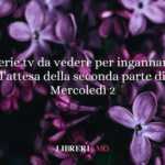 Serie tv da vedere per ingannare l’attesa della seconda parte di Mercoledì 2 88 Serie tv da vedere per ingannare l’attesa della seconda parte di Mercoledì 2