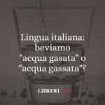 Lingua italiana: beviamo "acqua gasata" o "acqua gassata"? 51 Lingua italiana: beviamo "acqua gasata" o "acqua gassata"?