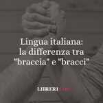 Lingua italiana: la differenza tra "braccia" e "bracci" 56 Lingua italiana: la differenza tra "braccia" e "bracci"