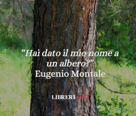 Eugenio Montale, “Hai dato il mio nome a un albero?”: la dolcezza della poesia