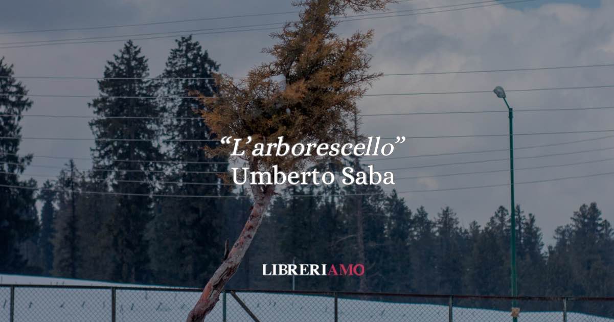 “L’arboscello”, una poesia d'autunno di Umberto Saba