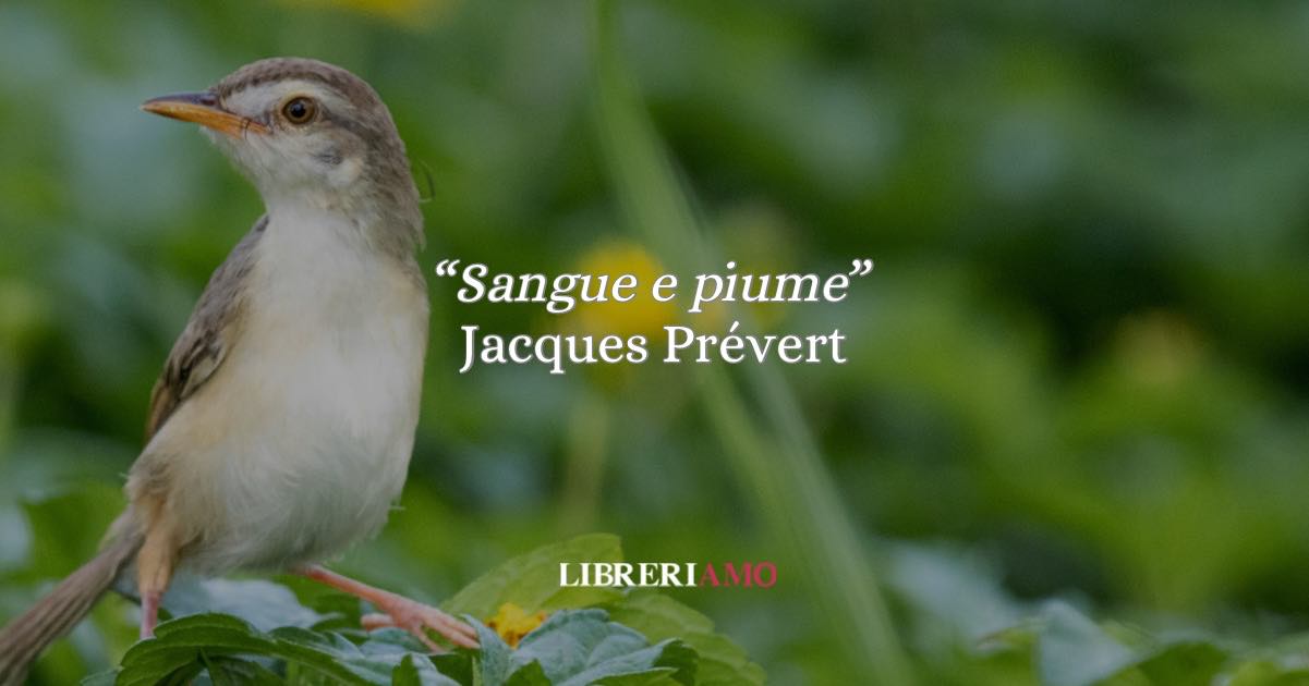 “Sangue e piume” di Jacques Prévert: una poesia potente tra amore e ferita 2 “Sangue e piume” di Jacques Prévert: una poesia potente tra amore e ferita