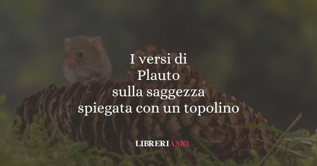 I versi di Plauto sulla saggezza spiegata con un topolino