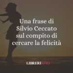 Una frase di Silvio Ceccato sul compito di cercare la felicità 62 Una frase di Silvio Ceccato sul compito di cercare la felicità