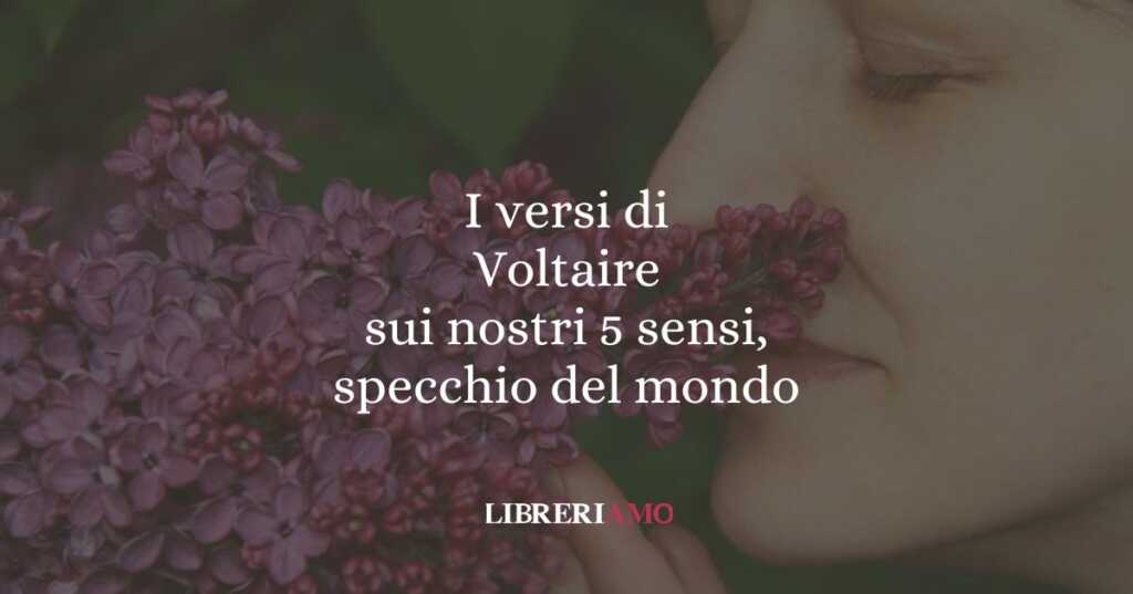 I versi di Voltaire sui nostri 5 sensi, specchio del mondo