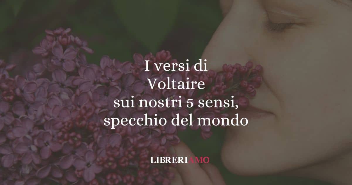 I versi di Voltaire sui nostri 5 sensi, specchio del mondo